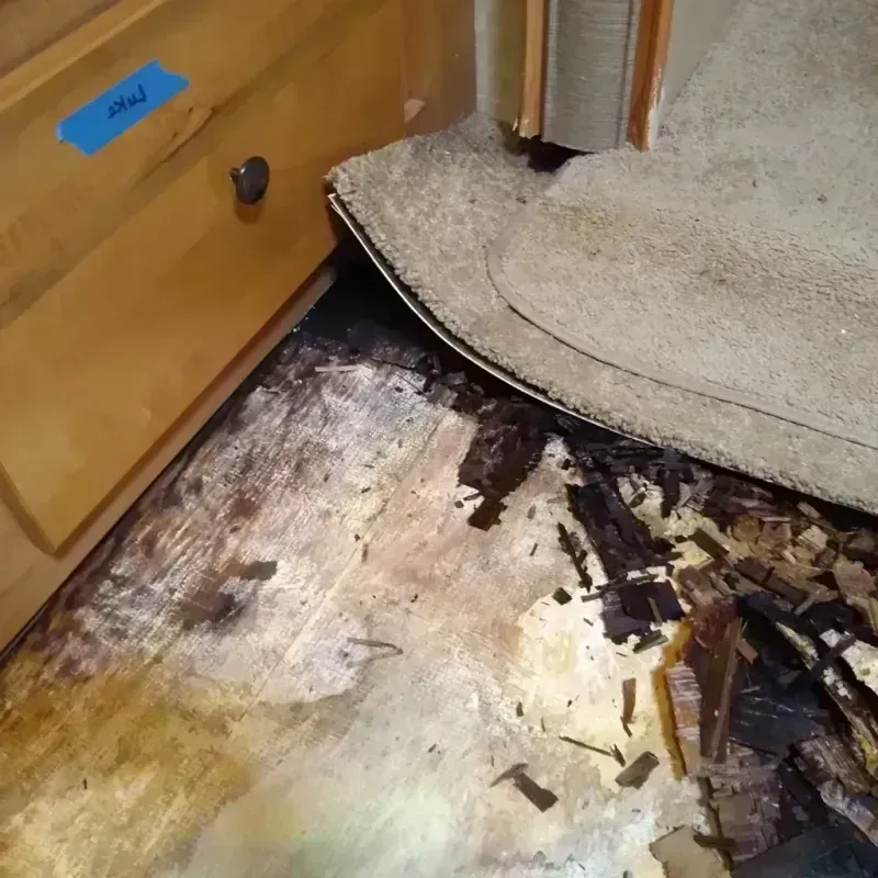 Wood Floor Water Damage in North Kansas City, MO